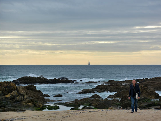 Le�a da Palmeira